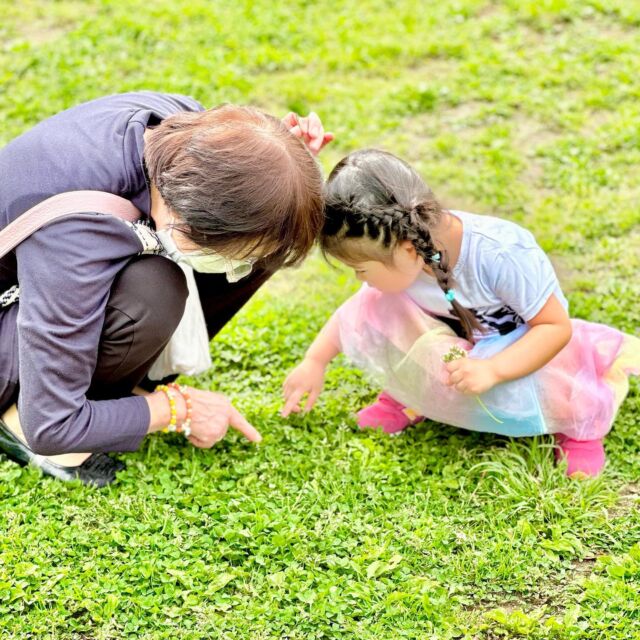 カラーセラピー　インオーラ オーラソーマ | カラーセラピーライフ／色彩ワークアカデミー